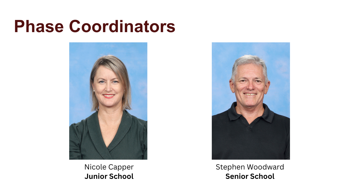 Phase Coordinators.png